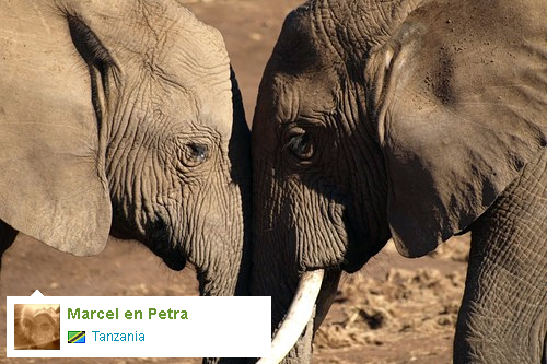 Reisdagboek: Marcel en Petra in Tanzania