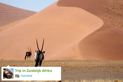 Reisdagboek: Trip in Zuidelijk Afrika